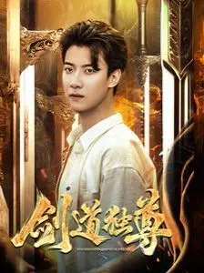 新剑道独尊 海报