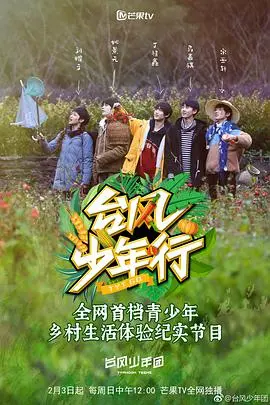 《台风少年行》：青春热血，少年逐梦的治愈之旅